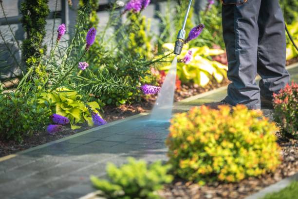Reliable Bayou Country Clu, LA  Pressure Washing Services Solutions